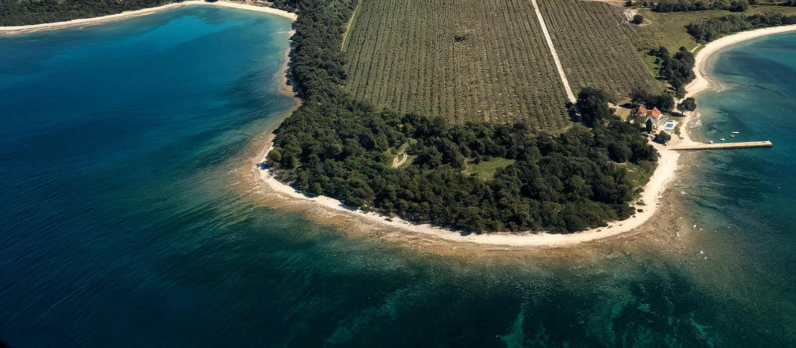 Cape with vineyards and turquoise sea from the air